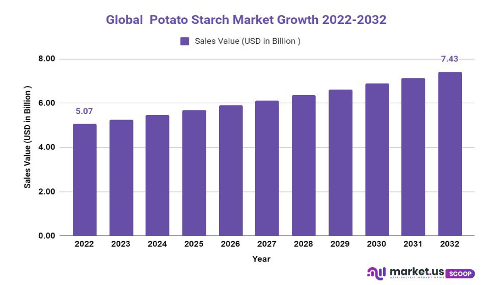 potato starch market growth